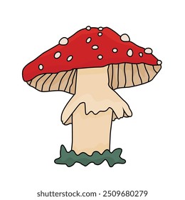 Amanita toadstool mushroom doodle hand drawn icon. Vector fly agaric isolated illustration on a white background