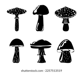 Amanita Toadstool Porcini Suillus Shiitake mushroom. Edible Organic mushrooms. Truffle brown cap. Forest wild mushrooms types. Colorful vector illustration isolated on white background.