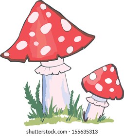 amanita. vector