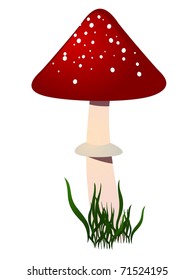 Amanita. vector