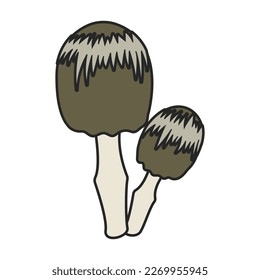 Amanita vector icon. Color vector icon isolated on white background amanita.