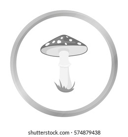 Amanita vector icon in monochrome style for web