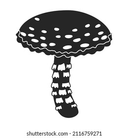 Amanita vector icon.Black vector icon isolated on white background amanita.