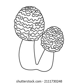 Amanita vector icon.Outline vector icon isolated on white background amanita.