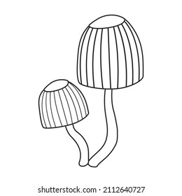 Amanita vector icon.Outline vector icon isolated on white background amanita.