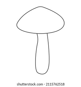 Amanita vector icon.Outline vector icon isolated on white background amanita.