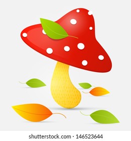 Amanita vector illustration 