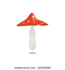 Amanita vector illustration. White background