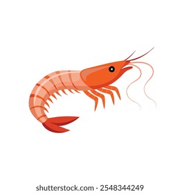 
Amano Shrimp peixe isolado vetor plano ilustração no fundo branco.