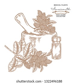 Amaranth flowers and leaves. Medical plants set. Vector illustration hand drawn.