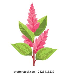 amaranth leaves 2D flat vector illustration icon, isolated on a white background.