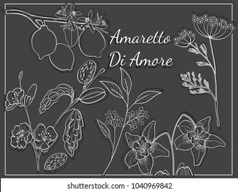 Amaretto di Amore Herbs Recipe Hand draw Composition in Dark colors Lemon Almond Anisum Sambucus Vanilla