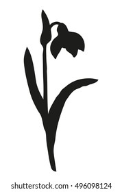 Amaryllidaceae Herbaceous isolated on white background. Monochrome black ink drawn picture sketchy in art engraving retro style pen on paper. Closeup view with space for text