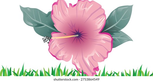 Amaryllis. Cropped blossoms as background for your works.