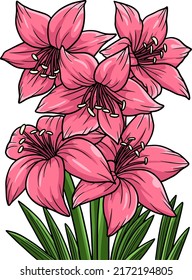Amaryllis Flower Cartoon Colored Clipart 