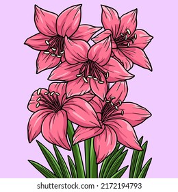 Amaryllis Flower Colored Cartoon Illustration