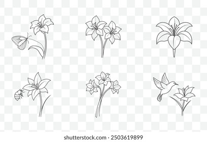 Amaryllis Flower Detailed Line Art Vector Set with Intricate Floral Design Illustrations for Elegant and Creative Use