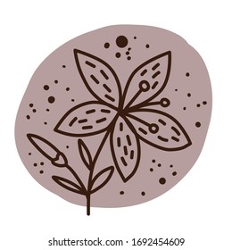 Amaryllis flower. Plants and botanical illustrations. Simple vector illustration.