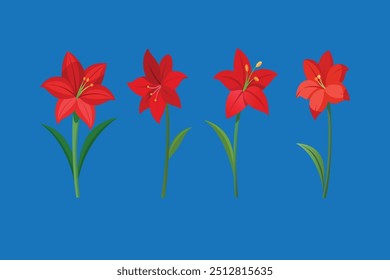 The "Amaryllis Flower vector art illustration" is a high-quality, scalable digital graphic design file featuring a detailed and vibrant illustration of an Amaryllis flower.