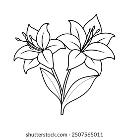 amaryllis flowers line art vector design
