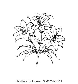 amaryllis flowers line art vector design