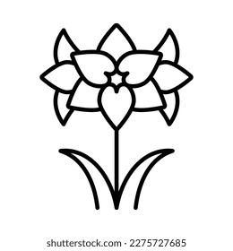 Amaryllis icon. Three blooming flower heads on high stem. Passion and attraction symbol. Editable strokes. Botanical minimalist icon. Best for flower shop, seeds packaging, logo.