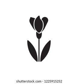 amaryllis icon vector. flower glyph icon