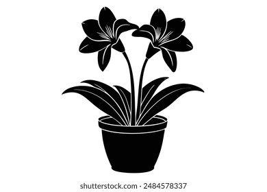 amaryllis plant this is a editable eps file silhouette illustration 