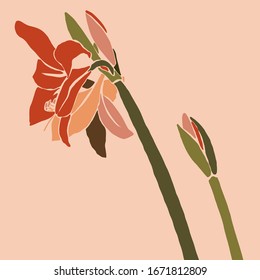 Amaryllis red flower in a minimalist trendy style. Silhouette of a plant in a contemporary simple abstract style. Vector illustration collage. For t-Shirt Print, card, poster, social media post