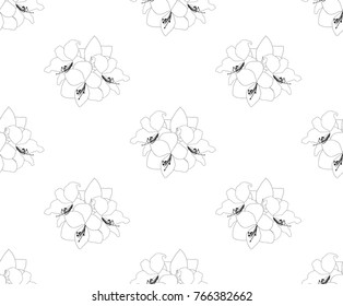 Amaryllis Seamless on White Background. Christmas Day. Vector Illustration.