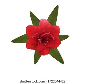 
Amaryllis in style Low Poly, flower vector drawing, summer concept.