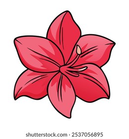 amaryllis vector illustration, flower vector art