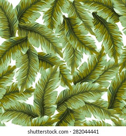 Amazing banana leaves pattern. Vector green seamless texture. Seamless leaves background