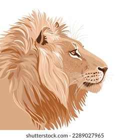 Amazing beautiful stylized muzzle lion. Vector illustration