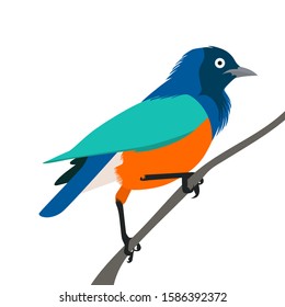 Amazing Birds Pearcing Vector Concept