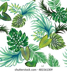 amazing botanical vector pattern with only leaves, no flowers, on white. Vector tropical trees - palm, monstera and others.