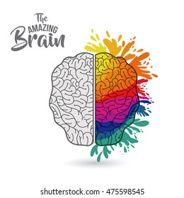 the amazing brain isolated vector illustration design