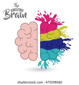 the amazing brain isolated vector illustration design