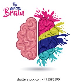the amazing brain isolated vector illustration design