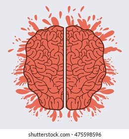 the amazing brain isolated vector illustration design