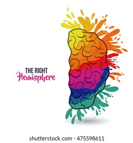 the amazing brain isolated vector illustration design