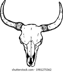 amazing bull skull line art vector illustration for t shirt design or vintage logo