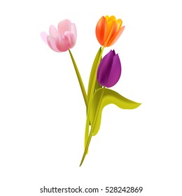 Amazing bunch of flowers. Spring tullips.