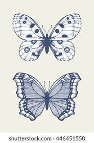 Amazing butterflies with dots, line pattern. Set collection. Wild insects isolated. Vector artwork. Creative bohemia concept for invitation card, ticket. Monochrome dark grey blue, beige color