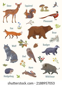 Colección asombrosa con animales del bosque, lobo, ciervo, oso, zorro, búho, ardilla, faisán, erizo, liebre, jabalí y pesadilla. Ilustración del vector