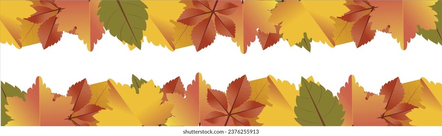 Amazing colorful background of autumn maple tree leaves background with white empty space. Multicolor maple leaves autumn background.