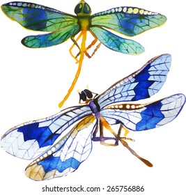 Amazing colorful background with dragonflies painted with watercolors (vector illustration).
Free place for your text.