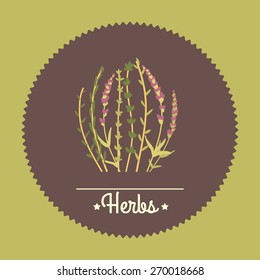 Amazing cute seamless vintage colorful herbs illustration