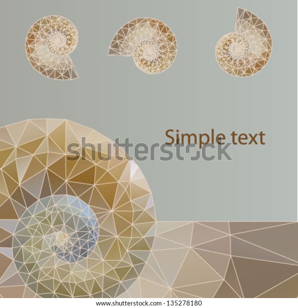 An Amazing Fibonacci Pattern In A Nautilus Shell