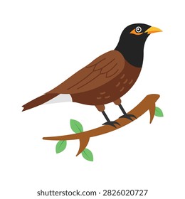 An amazing flat vector icon displaying a common brown myna bird.
